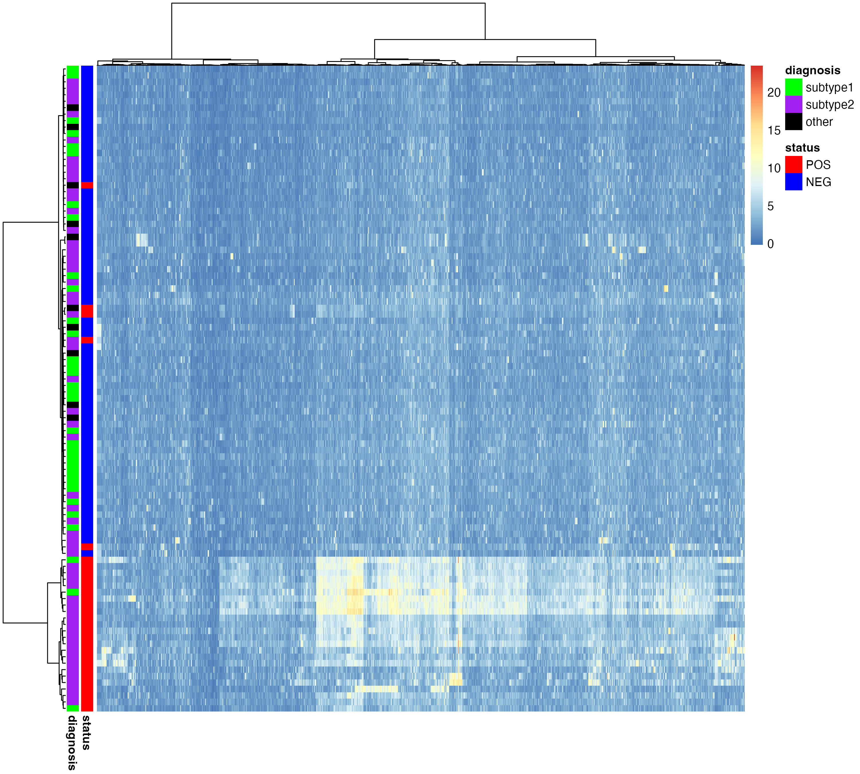 Pathway enrichment analysis heatmap